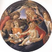 Sandro Botticelli Madonna of the Magnificat oil painting artist